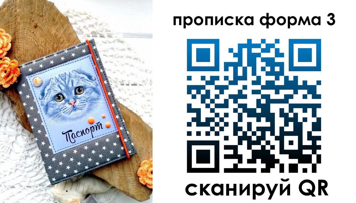 прописка поиск в Камчатском крае